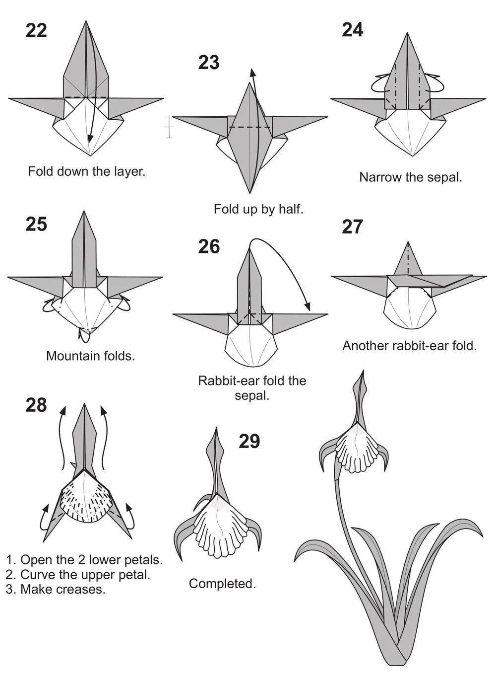 no.2369 折个兰花