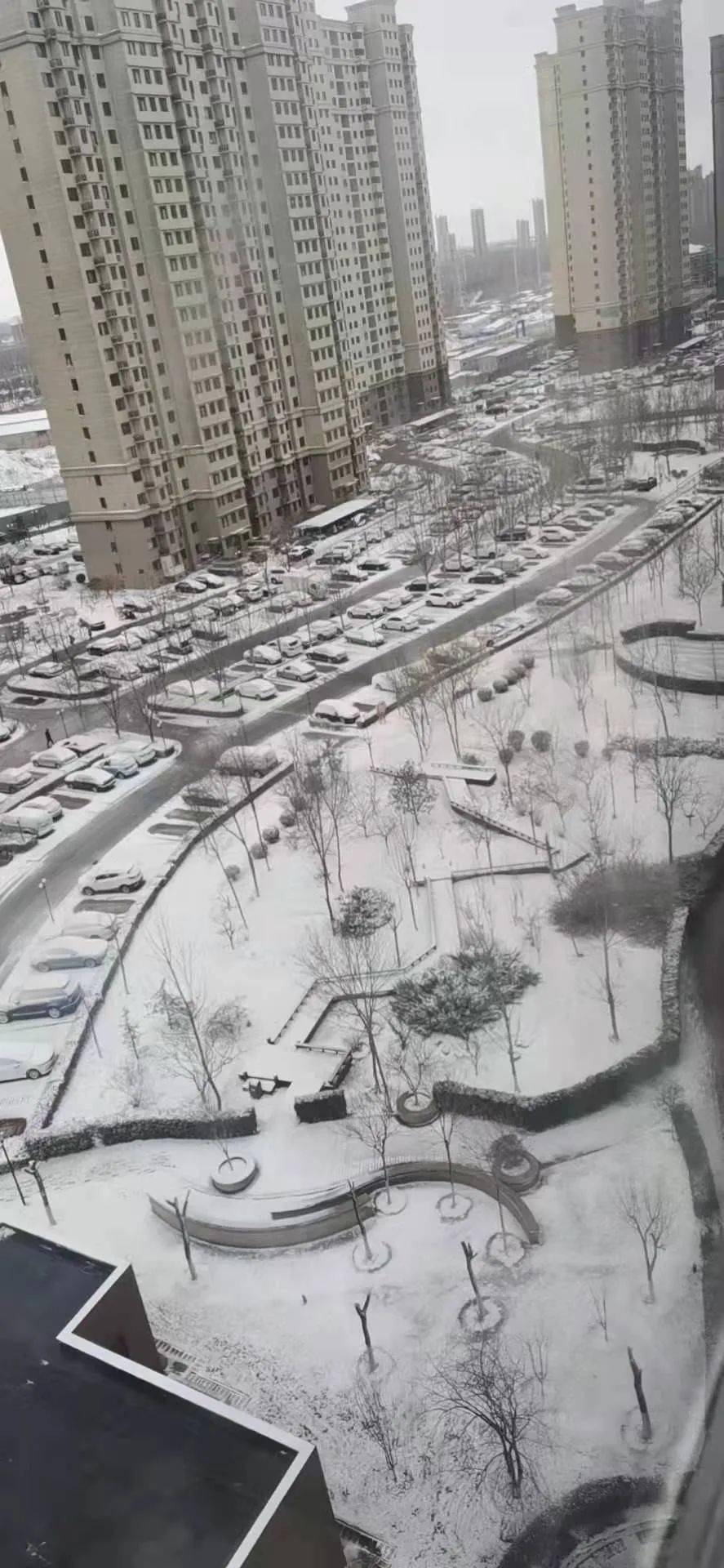 雪景雪警一场三月雪在廊坊惹出这些事