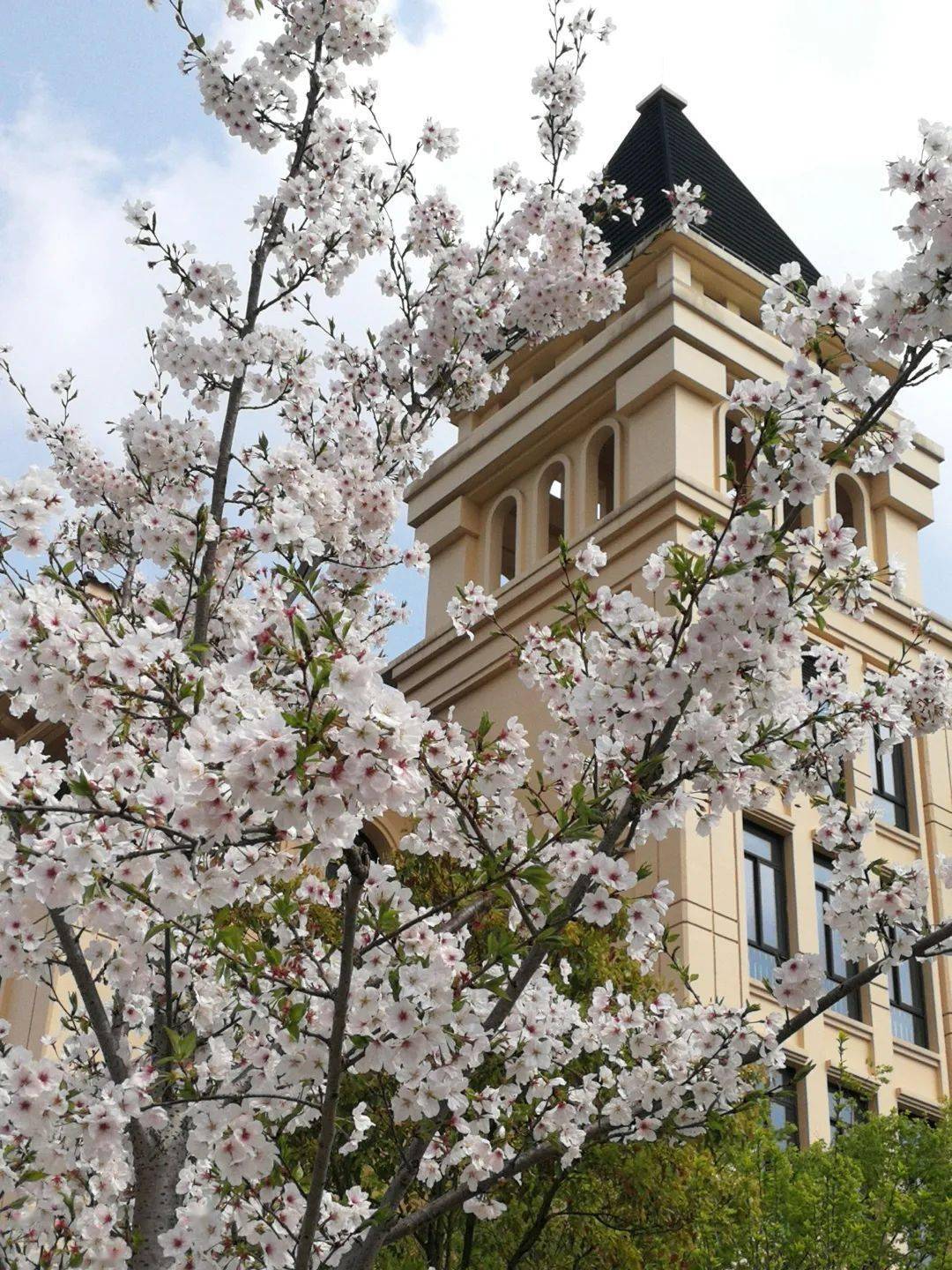 北外田园高中校长陆振权:看最好的别人 做最好的自己