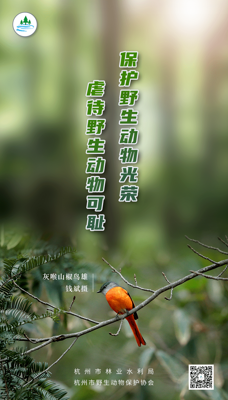 1c2774d9452e4835804cbd03aef41e9b.png