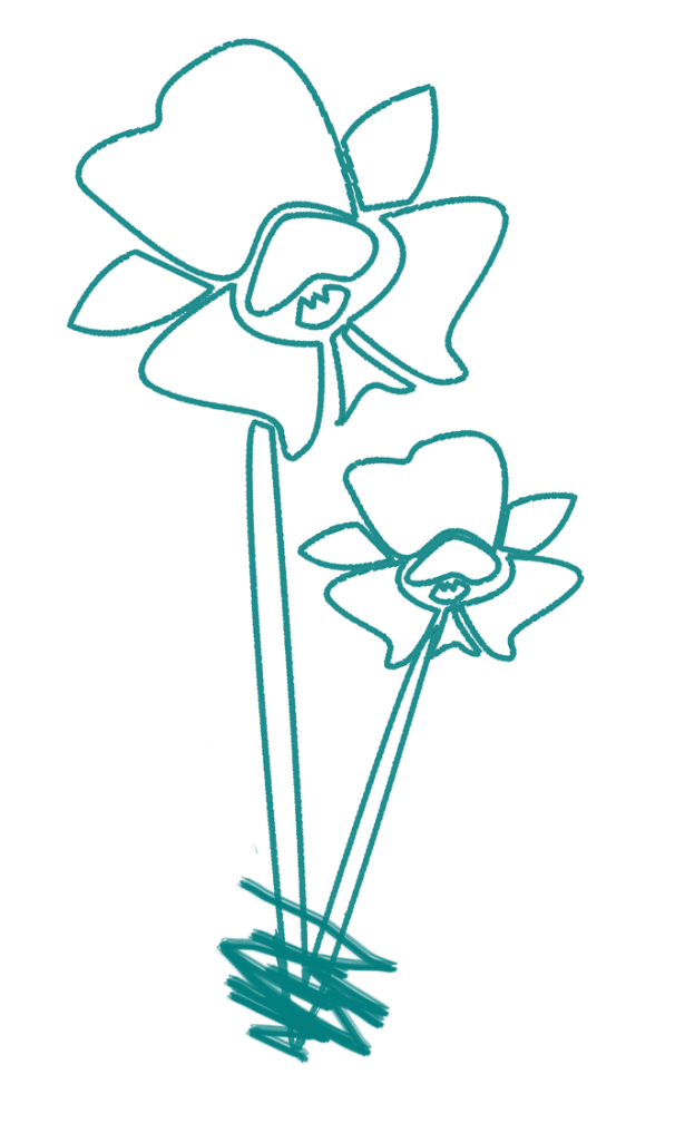 三月你好 在赏花登山好时节 送你一份春日浪漫时光攻略 三亚