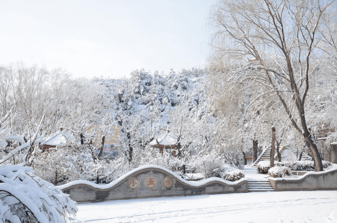 下雪後榆次小五臺竟然變成了這樣驚豔