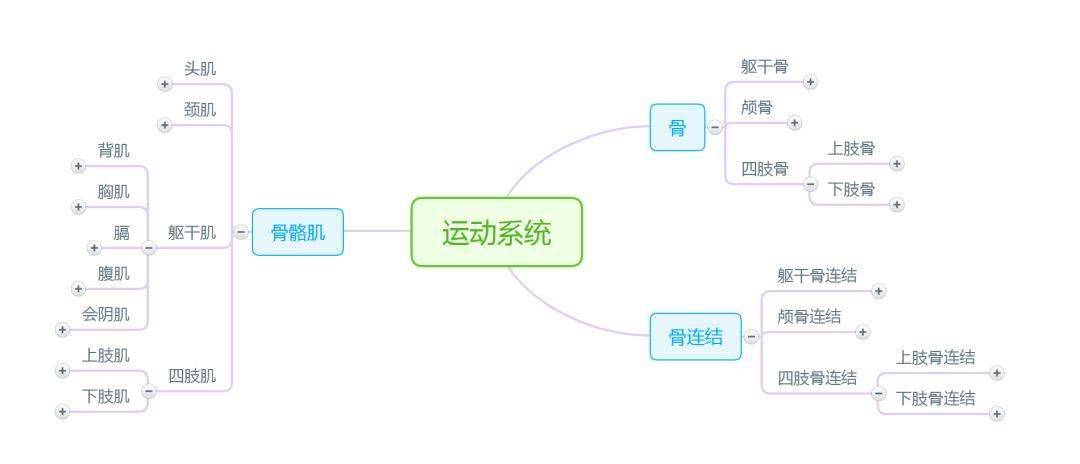 【思维导图】解剖学,这样记忆更高效!