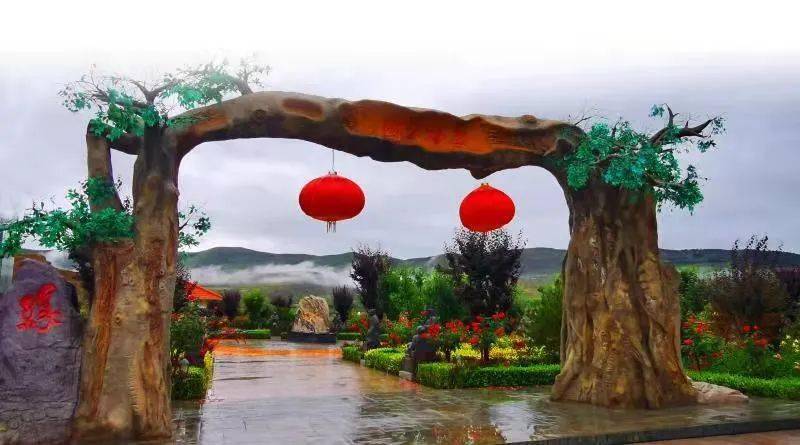 通渭山楂小镇彻底火了