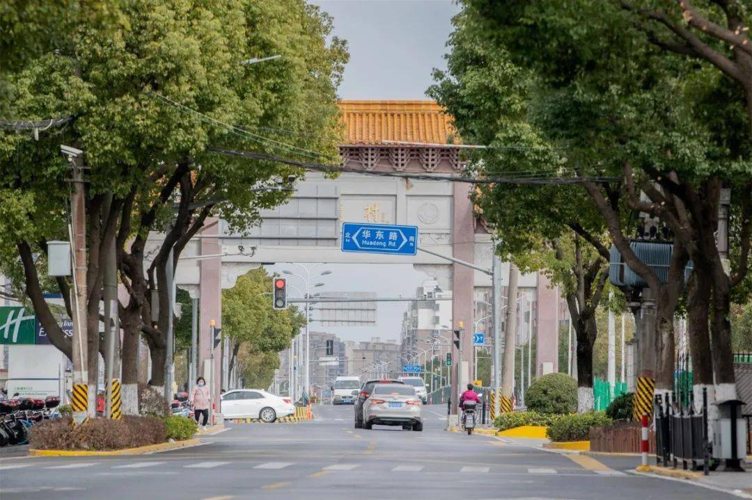 新镇新貌美爆了快来看看上海四好农村路示范路之川沙界龙一路