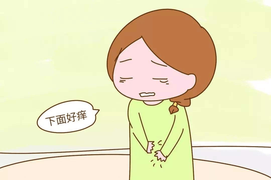 为什么会得阴部湿疹 b47152a384954af581f5085acf97e247.png