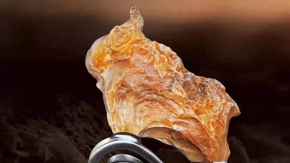 奇石牛太形象了