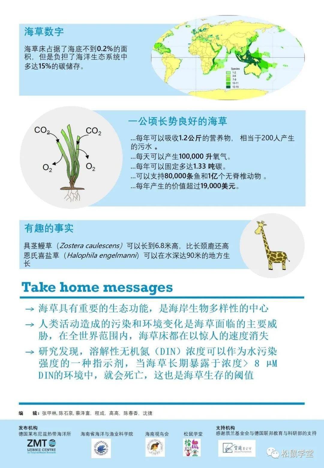 3月1日世界海草日一张图认识海草