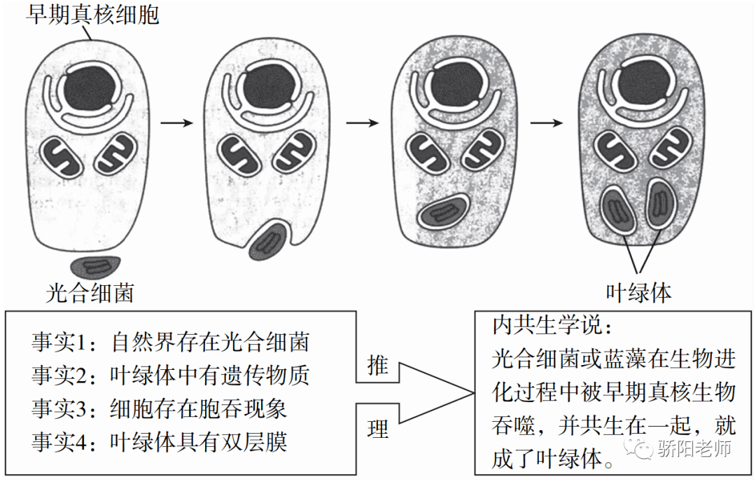 归纳推理与演绎推理 细菌和真菌的区别