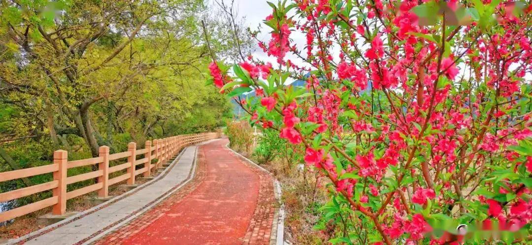 江口东大村风景图片