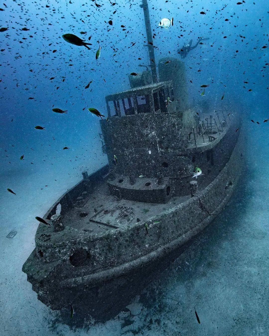 令人大开眼界的海底沉船i水下摄影