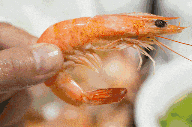 1d038605586b42b5849ccba82a6f2354.gif