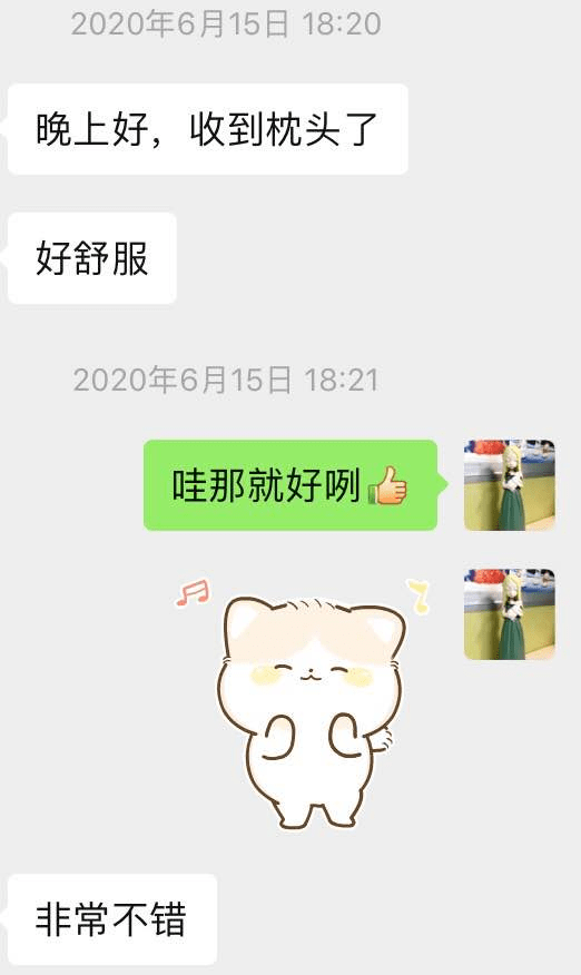 枕什么眠成语_成语故事简笔画(2)