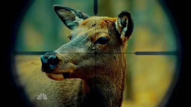 汉尼拔的游戏人生究竟害了谁