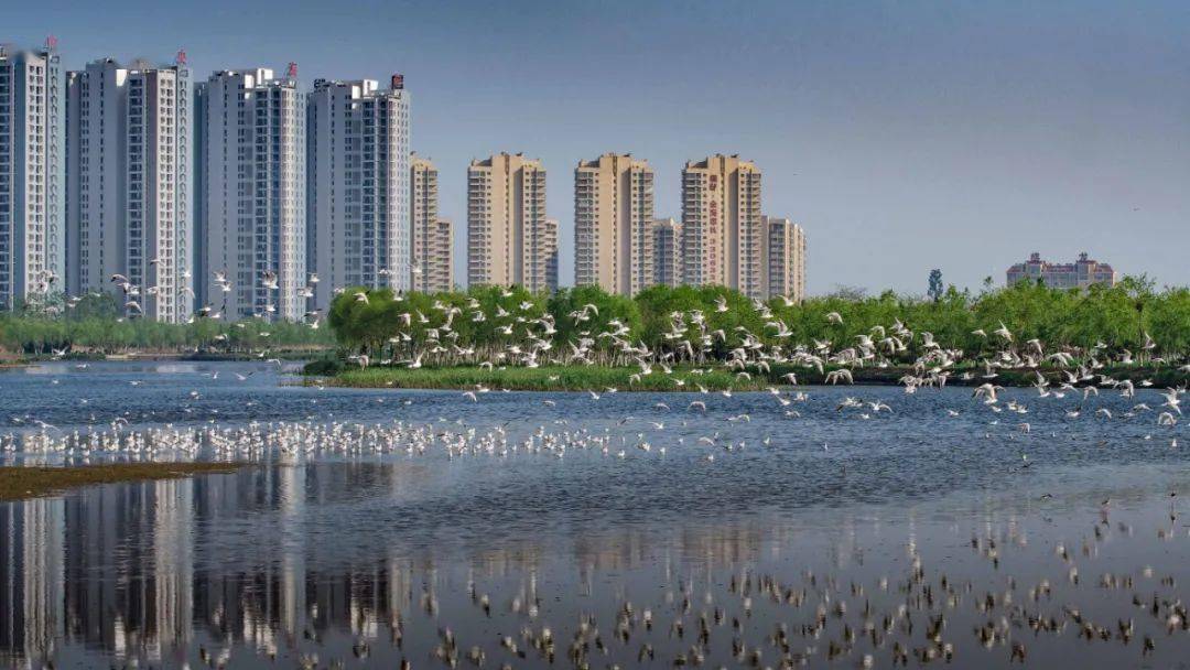 海阳市有多少人口(2)
