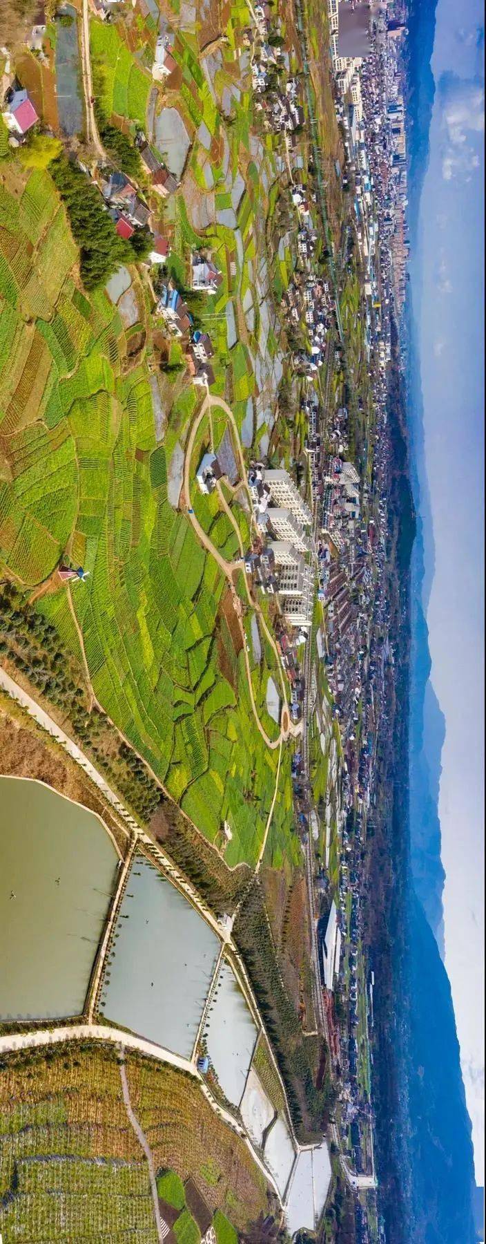 【观花海 看西乡】2021年油菜花节西乡主会场,震撼全景图来啦_西乡县
