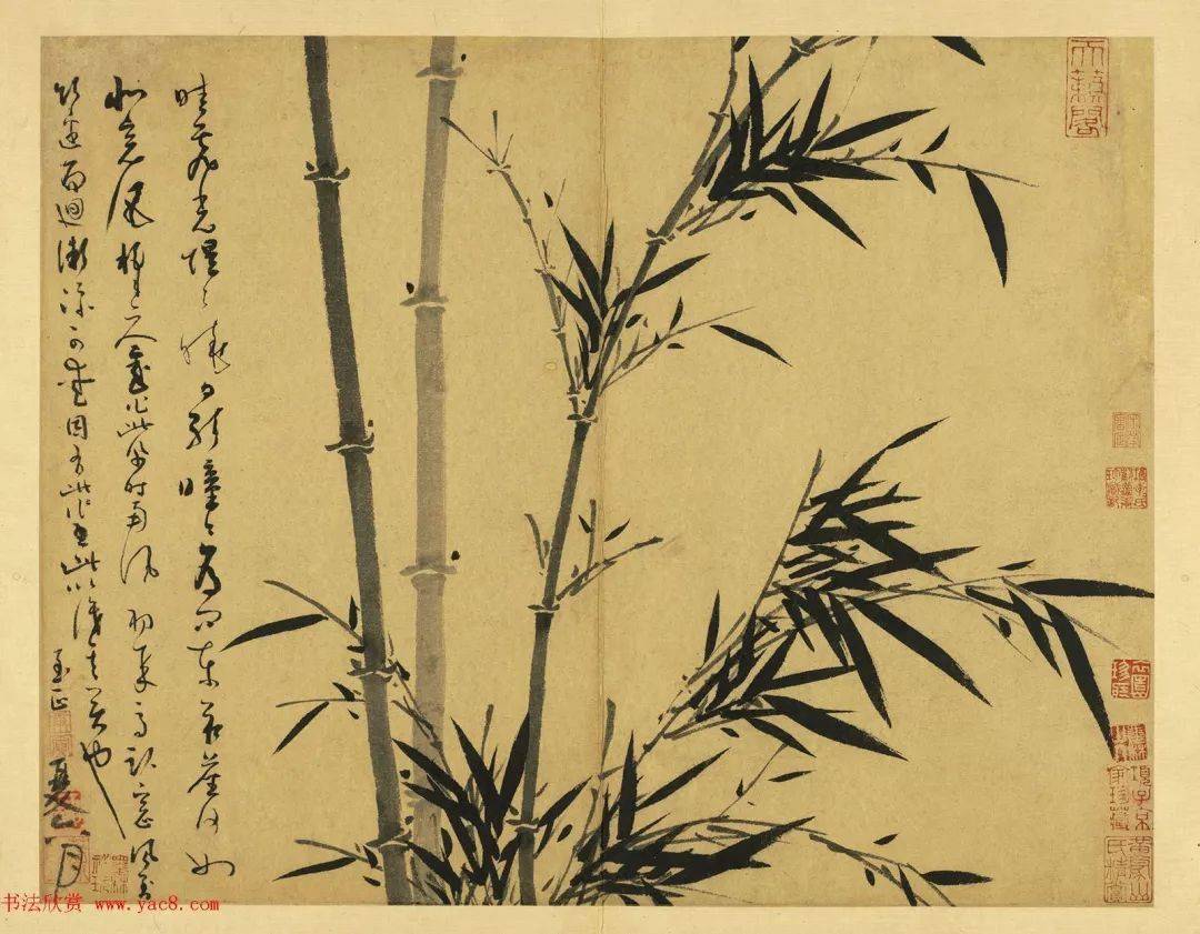 日久生情竹子学派 竹子学派儿皿色
