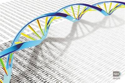 参考|基因组数据揭示25个人种间遗传差异，发现更复杂遗传变异