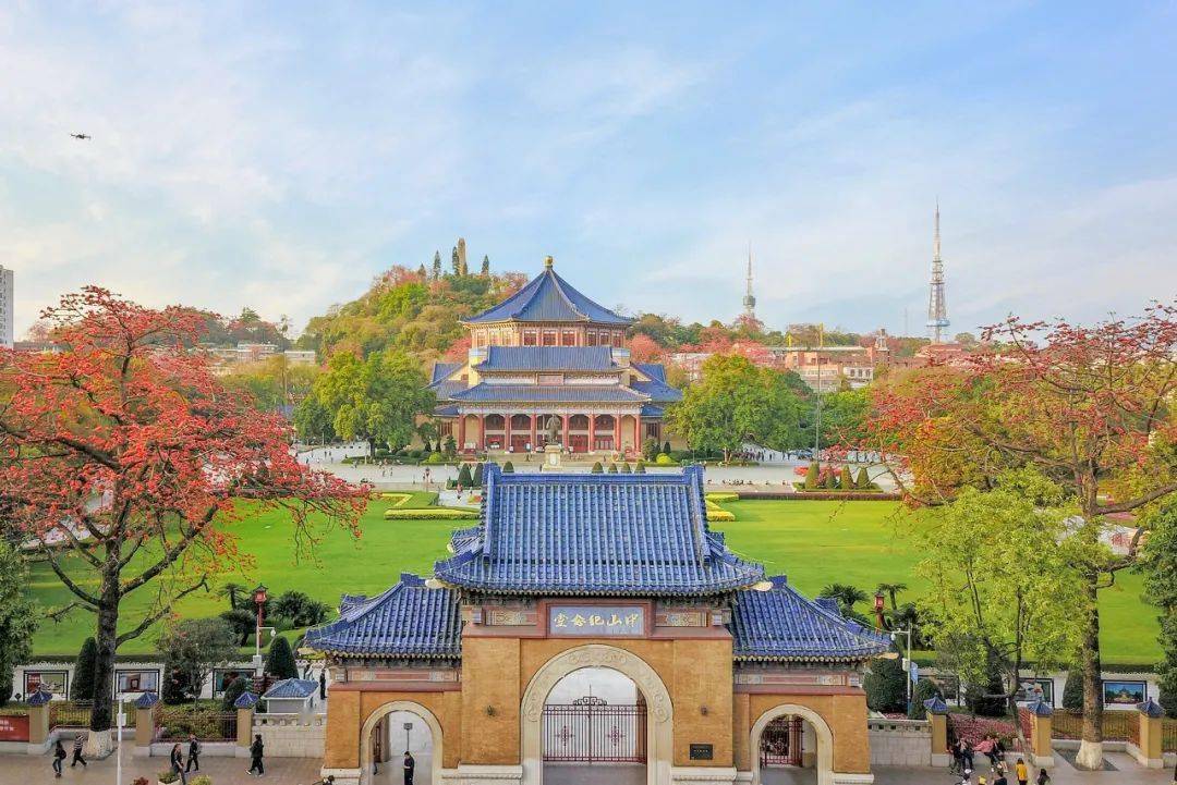 一睹红艳又不媚俗的木棉花,中山纪念堂内300多年"木棉王"是不可错过的