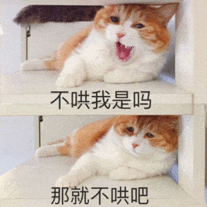 喵大人的表情包又来了,快收~_猫咪