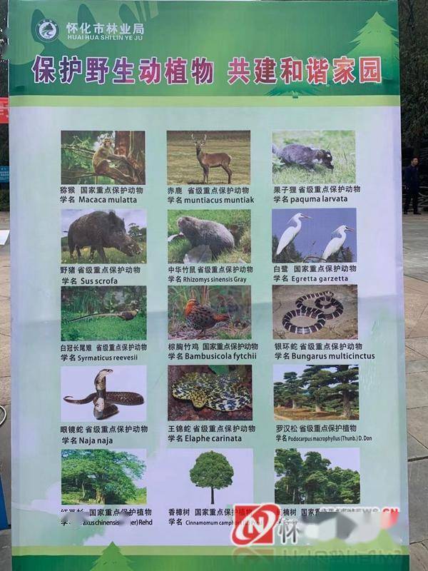 怀化野生动植物园门票图片