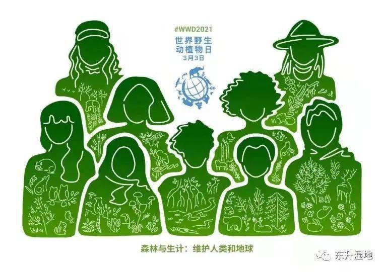 人口自然调节_人口自然增长率图