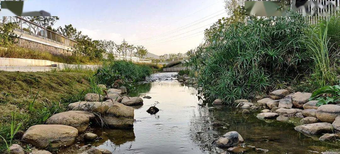 濱水景觀 | 讓河流回歸城市生活的南京玉蘭河環境整治工程_河道