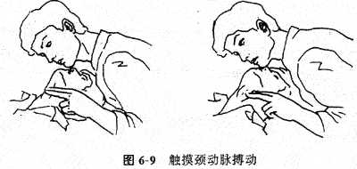 从被救者的喉结处向外滑动约1-2cm,正常是可以触到颈动脉的搏动.