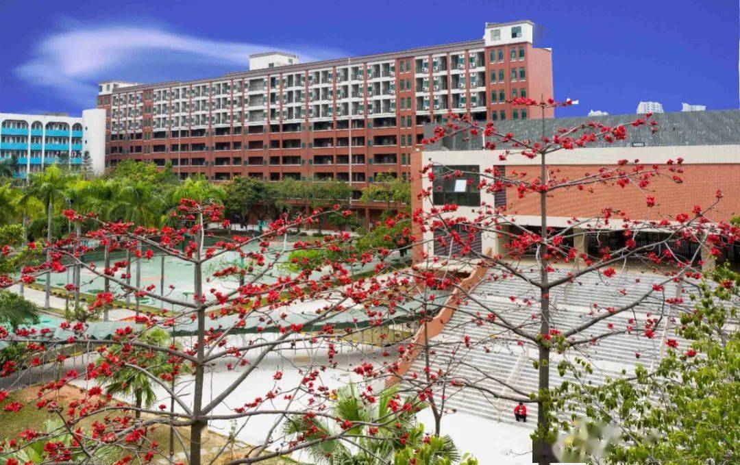 遇见61竹中三月的竹中红了