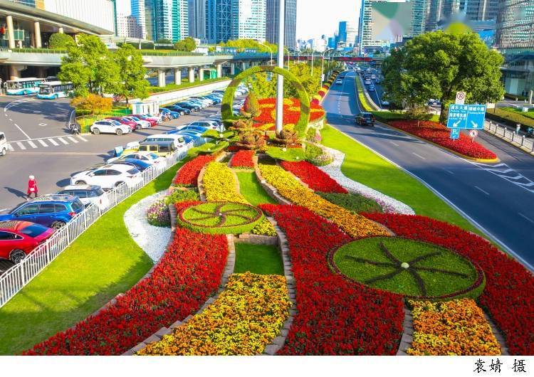 上海发力建设的"公园城市",有哪些看点?_绿化