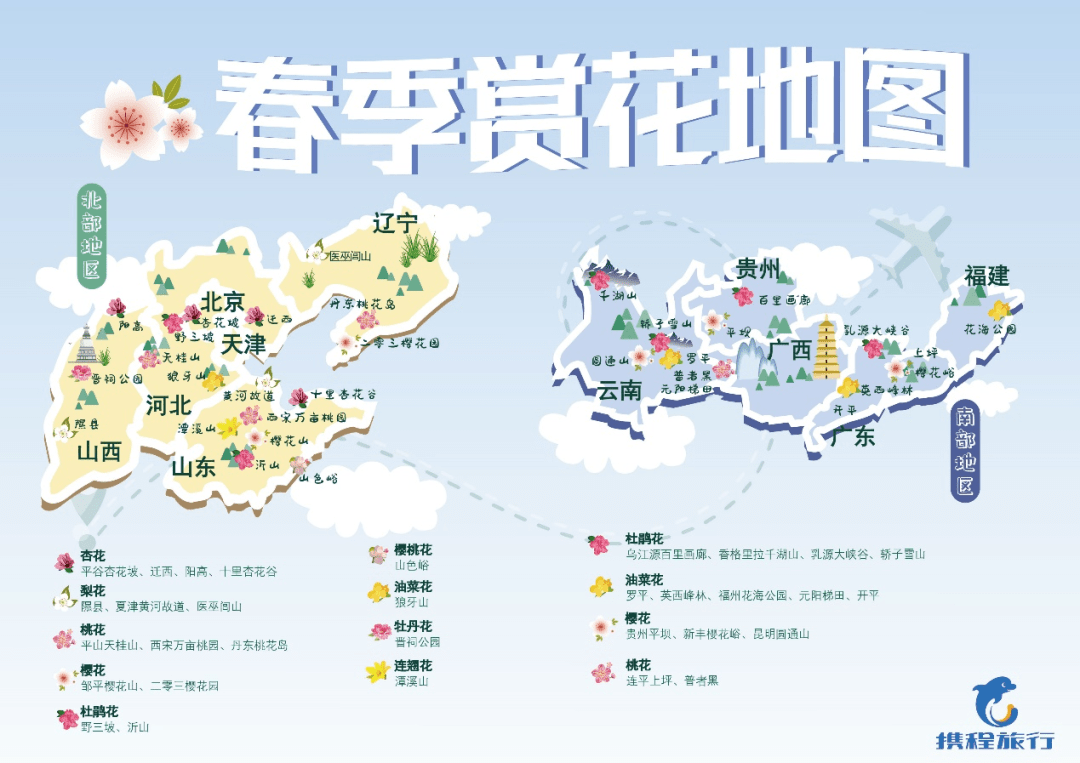 56fbf445c4094c15bcff2f386a06edc9.png