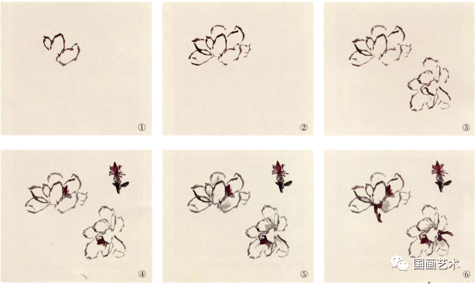 【国画课堂】谭老师教你画国画写意玉兰花_步骤