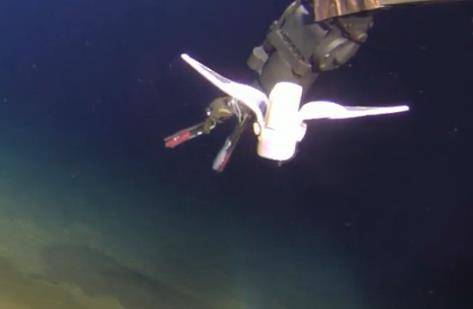 深海|外媒：科学家设计出一款类鱼软体机器人 可入深海探索