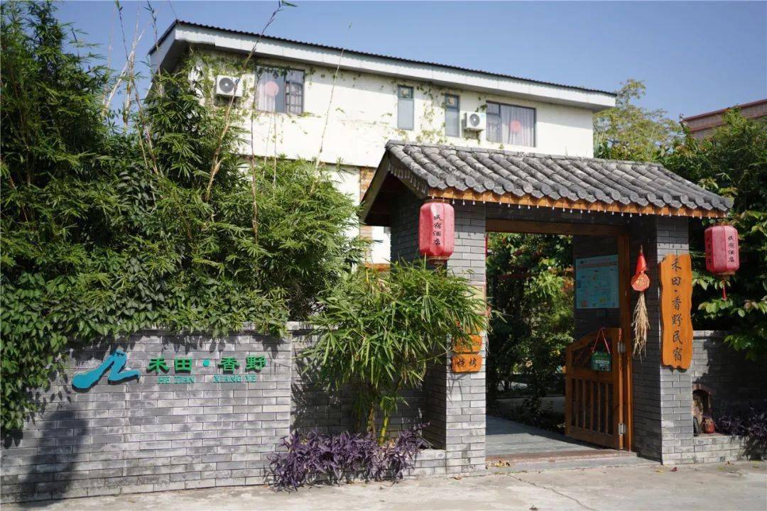 瞄准全域旅游,诗意民宿点亮乡村振兴!_南朗镇