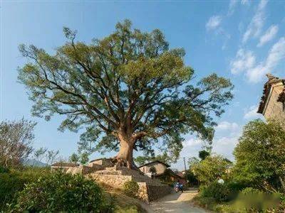 黄峭故里古韵坎头