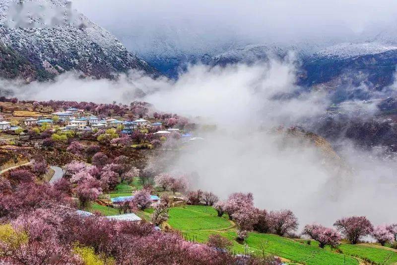 嘎拉村是林芝著名的桃花村,每年的很多桃花節也在此舉行.