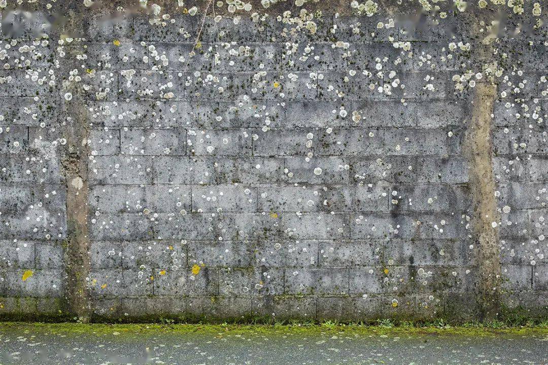 衡复预告 桃红李白 莺鸣燕来 衡复风貌区文化活动汇总 3 5 3 7 上海