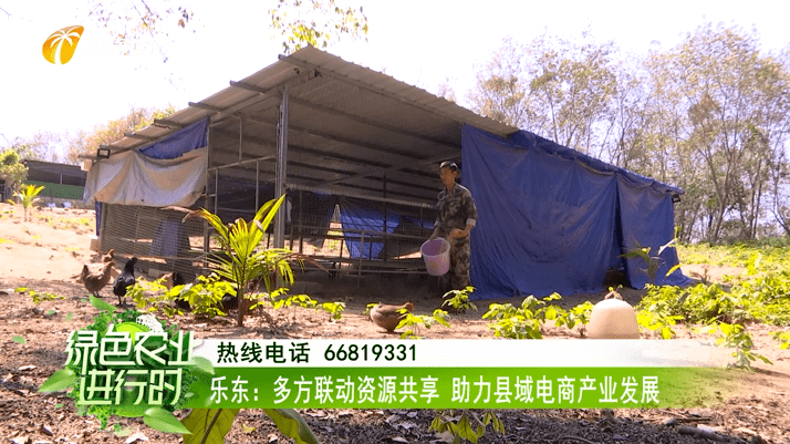 乐东保显人口_乐东毛公山图片(2)