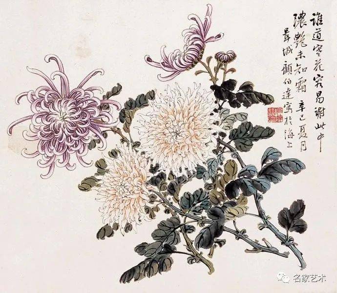 【名品视界】名家·菊(四—近现代(下)_菊花