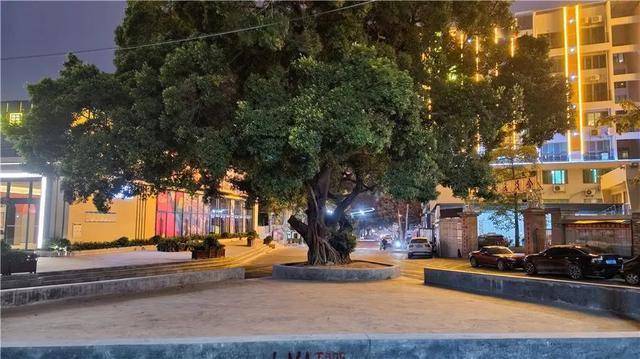 番禺钟三村党委书记黄炽洪打造东越里升级工业区村民住上公寓集体经济