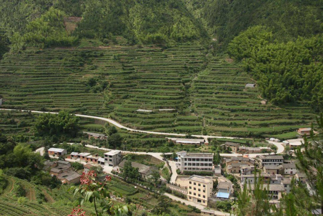 丽水松阳西屏街道GDP_春分 仙气 缭绕松阳尝鲜(3)