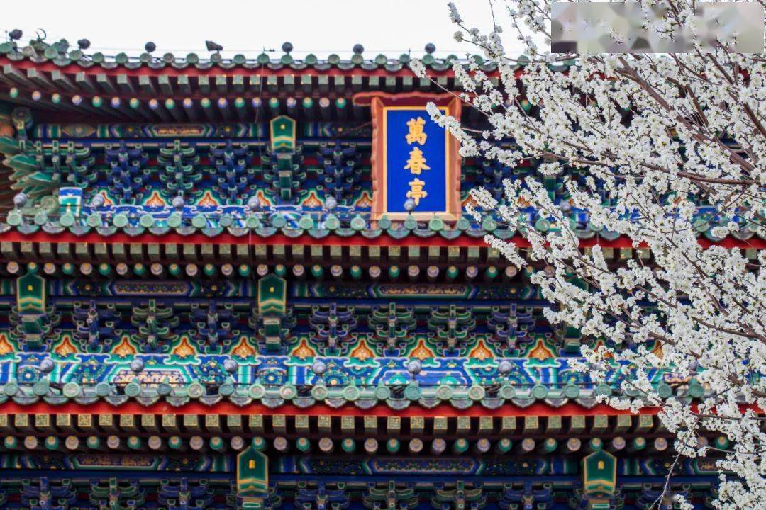 成语什么梅火_马冬梅马什么梅图片(3)