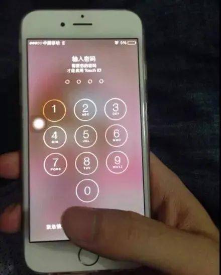 e559dd9e1941422988c4ff9a6bf45b2a.jpeg