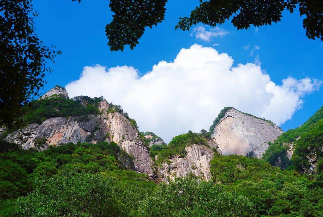 這座寺院叫作青峰寺,青峰寺的背後就是當地小有名氣的青峰山.