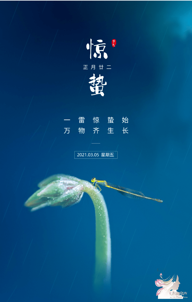 惊蛰春雷作响万物生长