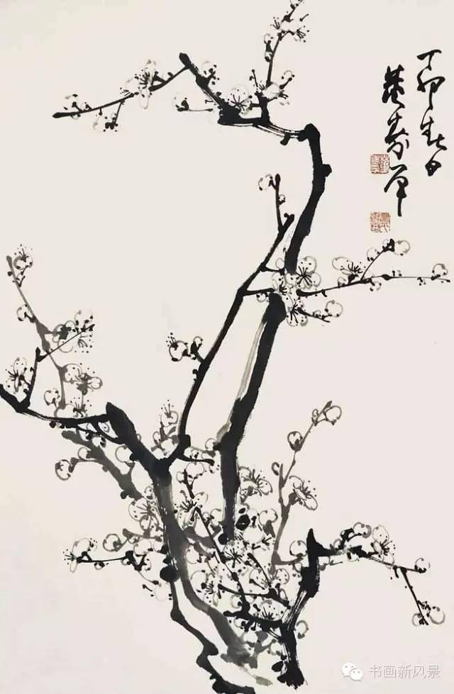 画梅大师董寿平的梅花，绝美！_搜狐网