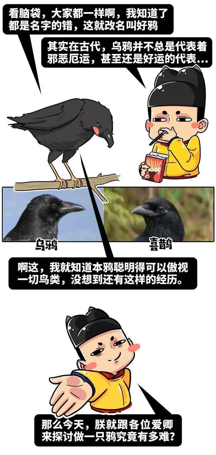 天下坏人都是一样坏,又被称为"乌鸦嘴".