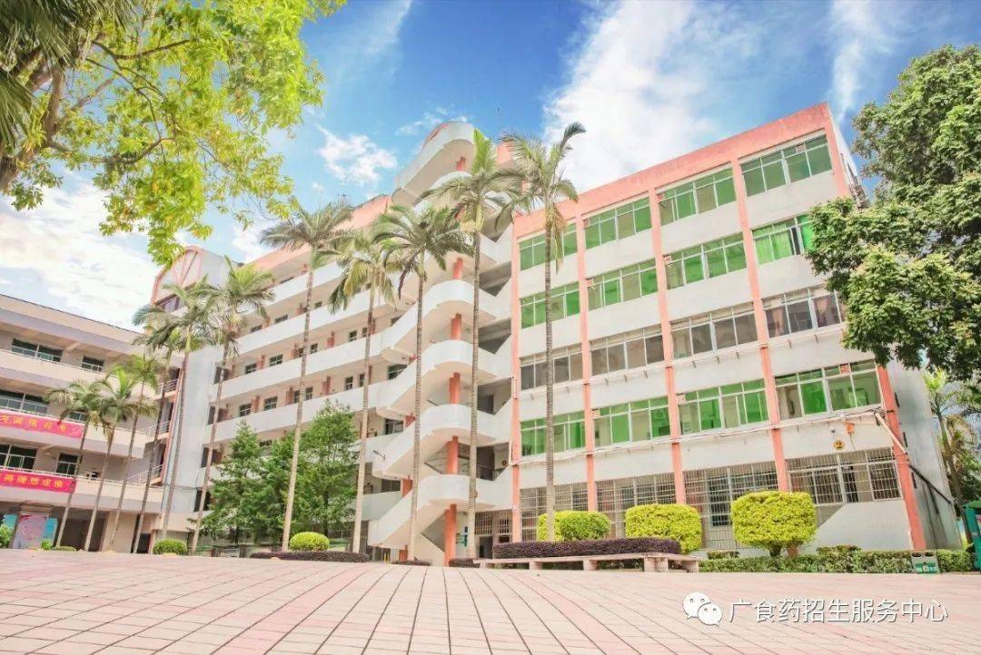 文章配图-4