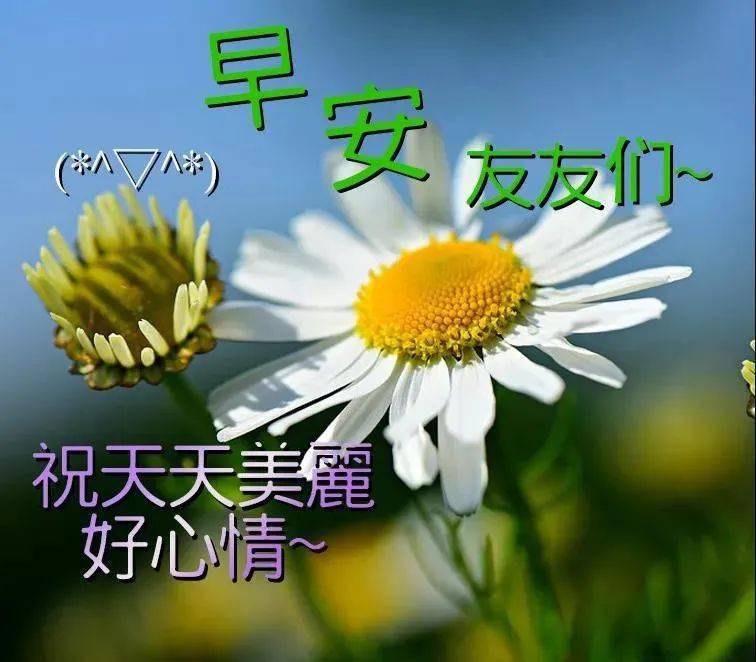 人生最重要的不是努力而是方向 8a5a7c83825d44ee89a8dc2f05f09c44.jpeg