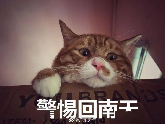 9239b1fb35c849d7bfe349cfe897f848.jpeg